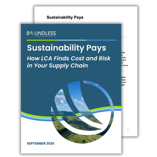 Boundless Sustainability Pays - Cover